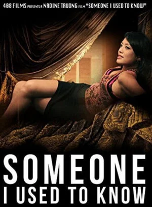 Постер: Someone I Used to Know