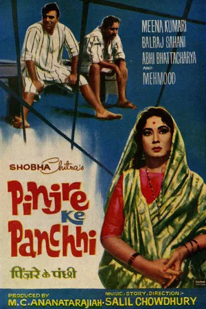 Постер: Pinjre Ke Panchhi