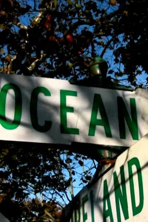 Постер: The Horror in Amityville: 112 Ocean Ave
