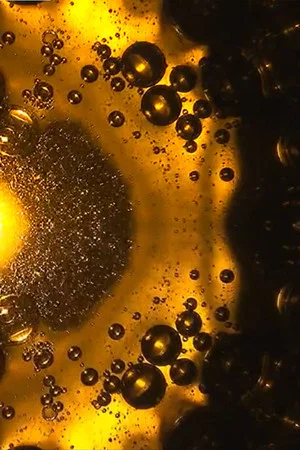 Постер: Oil and Water