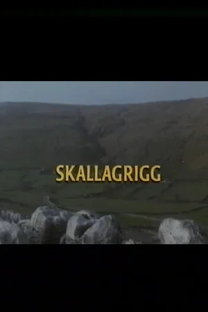 Постер: Skallagrigg