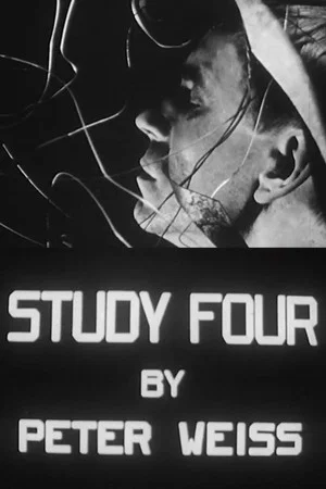 Постер: Study IV: Liberation