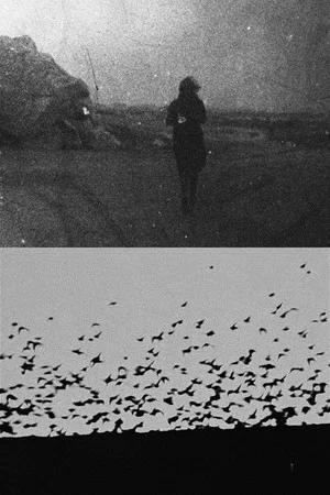 Постер: The Ghost Image