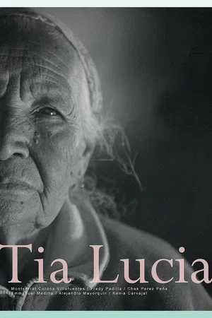 Постер: Aunt Lucía