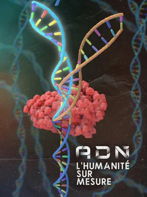 Постер: DNA: Custom Humanity