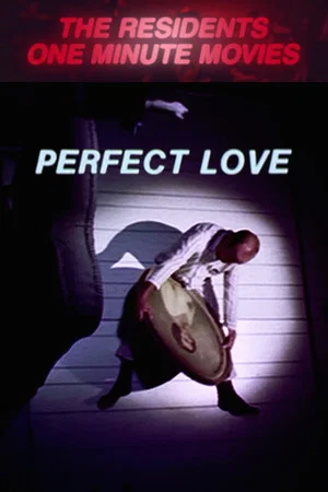 Постер: Perfect Love