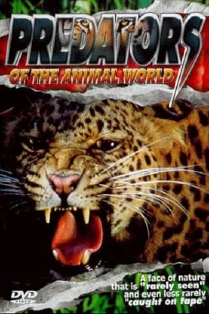 Постер: Predators of the Animal World