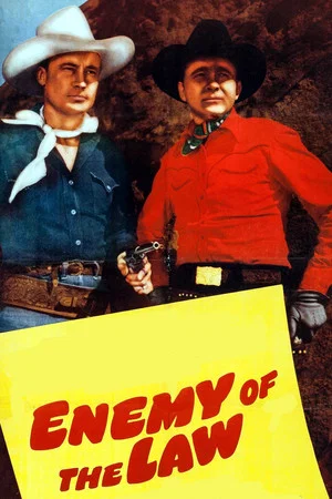 Постер: Enemy of the Law