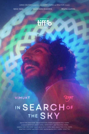 Постер: In Search of The Sky