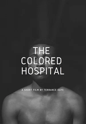Постер: The Colored Hospital: A Visual Poem