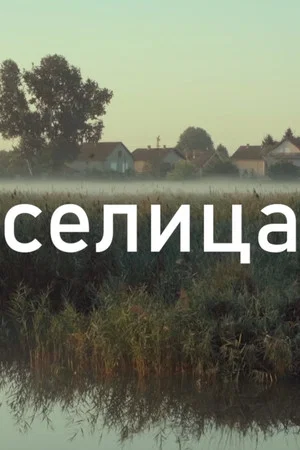 Постер: Migratory Bird