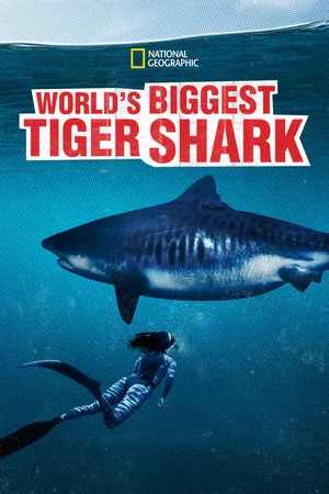 Постер: World's Biggest Tiger Shark