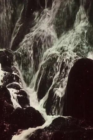 Постер: The Waterfalls of Monasterio de Piedra