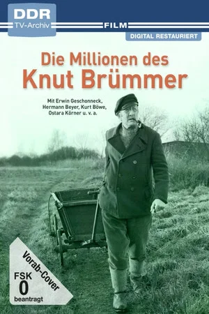 Постер: Die Millionen des Knut Brümmer