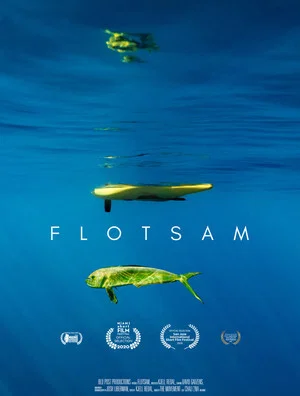 Постер: FLOTSAM