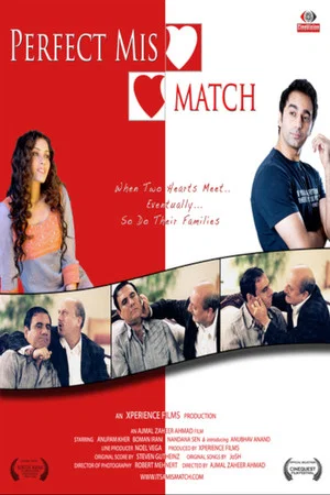 Постер: Perfect Mismatch