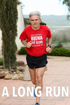 Постер: A Long Run