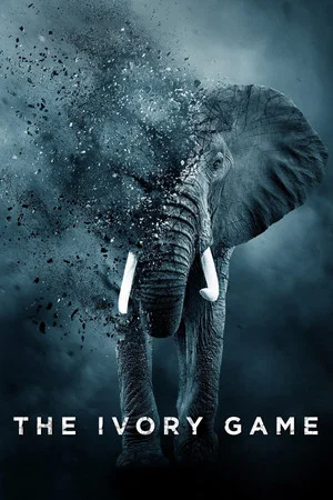 Постер: The Ivory Game