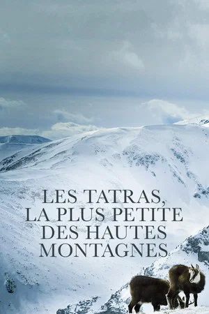 Постер: Die Hohe Tatra - Leben am Abgrund