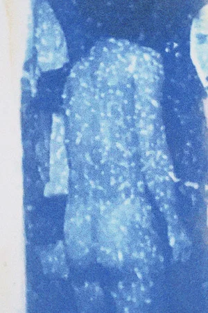 Постер: THE DREAM OF BRAKHAGE