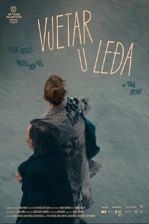 Постер: Wind Beneath the Wings