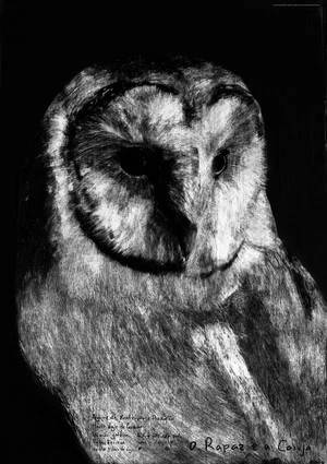 Постер: The Boy and the Owl