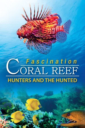 Постер: Fascination Coral Reef: Hunters and the Hunted