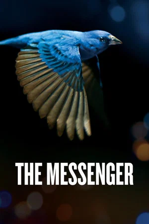 Постер: The Messenger
