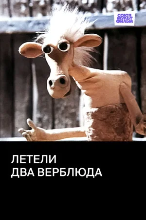 Постер: Летели два верблюда