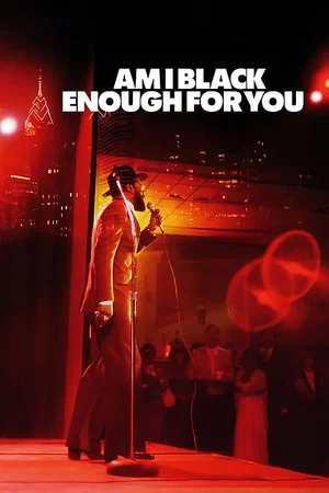 Постер: Am I Black Enough for You