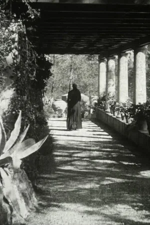 Постер: The Servant