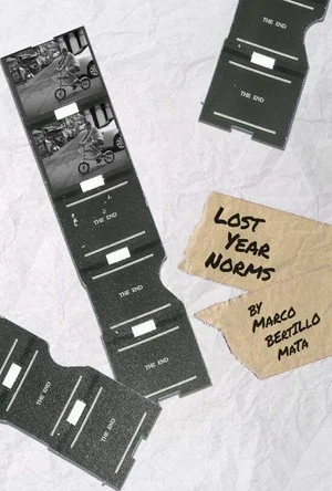 Постер: Lost Year Norms