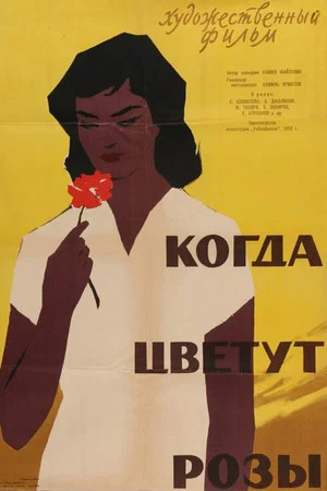 Постер: Когда цветут розы