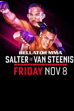 Постер: Bellator 233: Salter vs. Van Steenis
