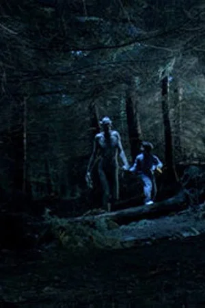Постер: Ordan's Forest