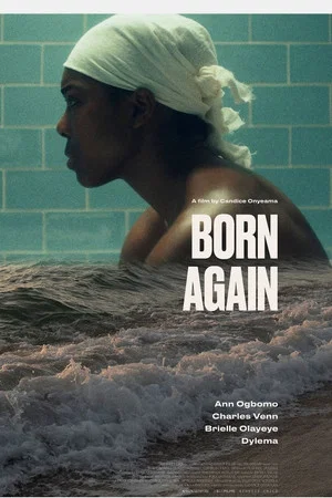 Постер: Born Again