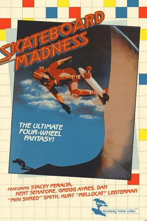Постер: Skateboard Madness