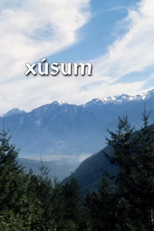 Постер: Xusum