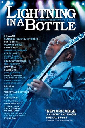 Постер: Lightning in a Bottle