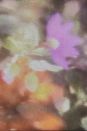 Постер: funeral
