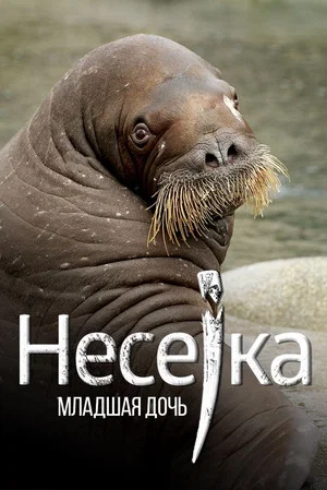 Постер: Несейка. Младшая дочь