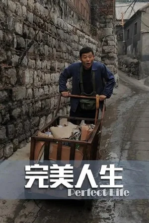 Постер: 完美人生