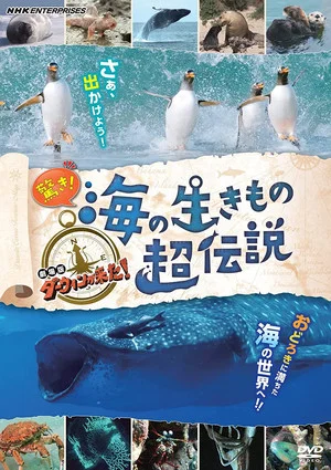 Постер: 驚き！海の生きもの超伝説 劇場版ダーウィンが来た！