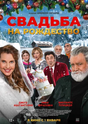 Постер: Свадьба на Рождество