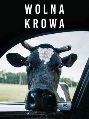 Постер: Wolna krowa