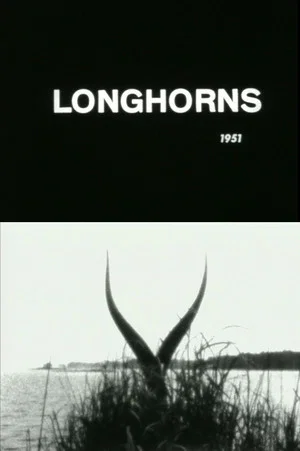Постер: Longhorns
