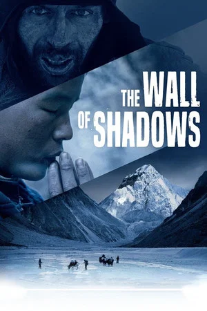 Постер: The Wall of Shadows