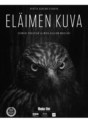 Постер: Animal Image