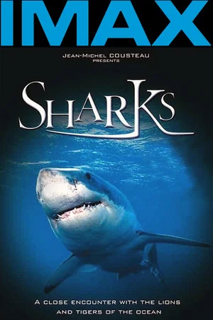Постер: Sharks 3D