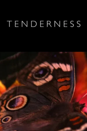 Постер: Tenderness